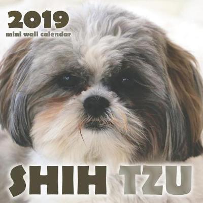 Book cover for Shih Tzu 2019 Mini Wall Calendar