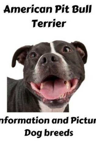 Cover of American Pit Bull Terrier Information and Picture