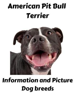 Book cover for American Pit Bull Terrier Information and Picture