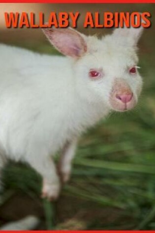 Cover of Wallaby Albinos