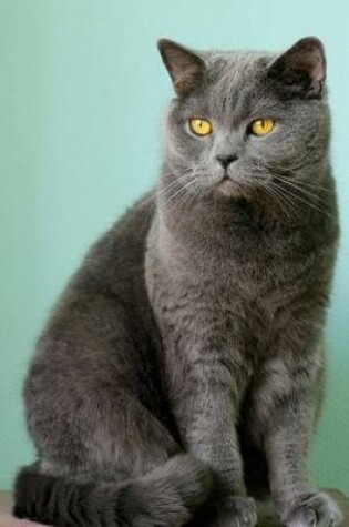 Cover of The British Shorthair Cat Journal "Yes, You May Worship Me Now."