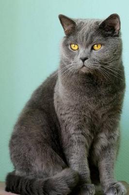 Book cover for The British Shorthair Cat Journal "Yes, You May Worship Me Now."