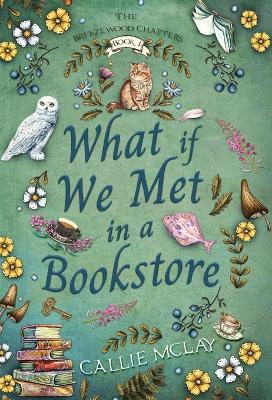 Book cover for What If We Met In A Bookstore