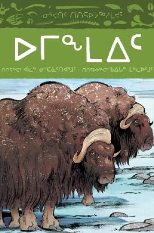 Cover of Animals Illustrated: Muskox