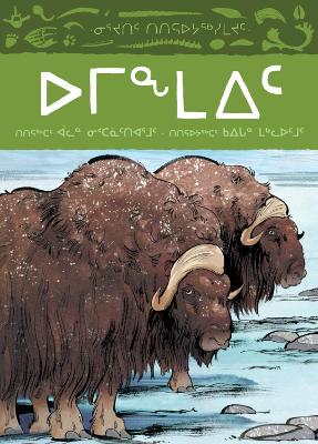 Cover of Animals Illustrated: Muskox