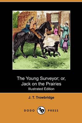 Book cover for The Young Surveyor; Or, Jack on the Prairies(Dodo Press)