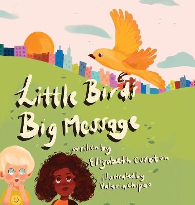 Book cover for Little Bird's Big Message