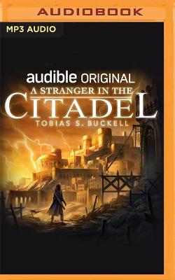 Book cover for A Stranger in the Citadel