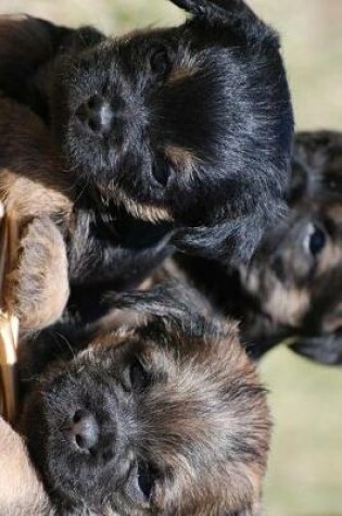 Cover of A Trio of Border Terrier Puppies Journal