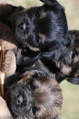 Book cover for A Trio of Border Terrier Puppies Journal