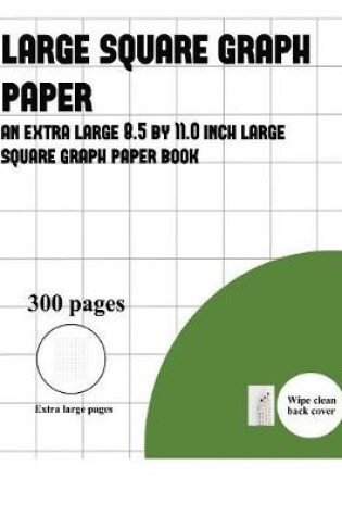 Cover of Large Square Graph Paper (300 pages)