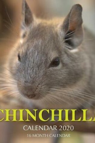 Cover of Chinchilla Calendar 2020