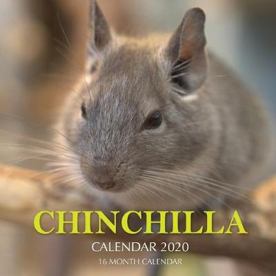 Book cover for Chinchilla Calendar 2020