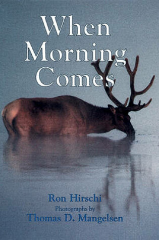 Cover of When Morning Comes