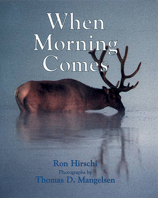 Book cover for When Morning Comes