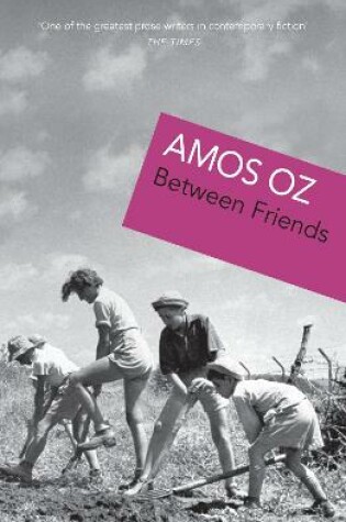 Cover of Between Friends