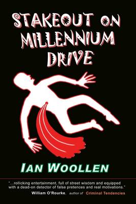 Book cover for Stakeout On Millennium Drive