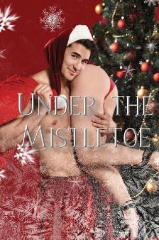 Cover of Under the Mistletoe