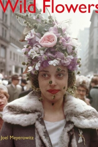 Cover of Joel Meyerowitz: Wild Flowers