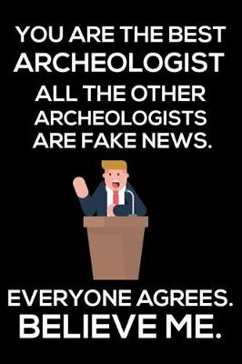 Book cover for You Are The Best Archeologist All The Other Archeologists Are Fake News. Everyone Agrees. Believe Me.