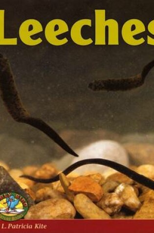 Cover of Leeches