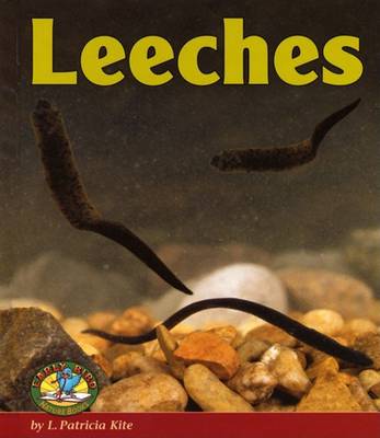 Book cover for Leeches