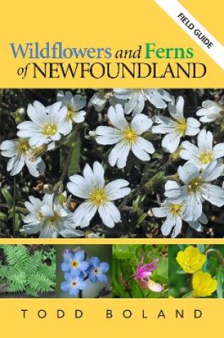 Cover of Wildflowers and Ferns of Newfoundland