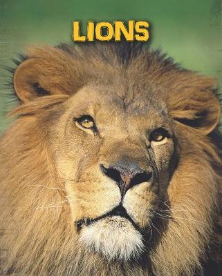 Book cover for Lions