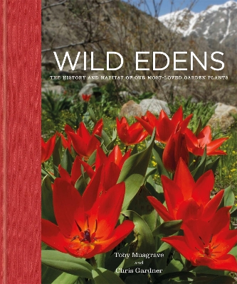 Book cover for Wild Edens