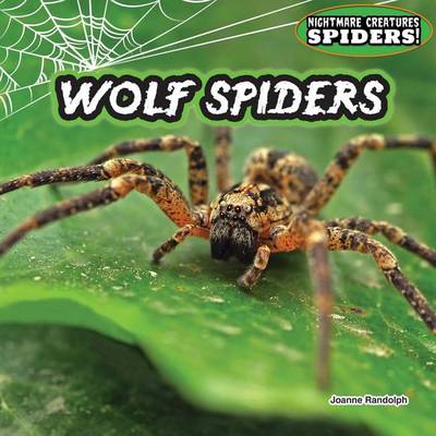 Book cover for Wolf Spiders: