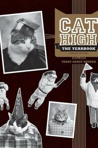 Cover of Cat High