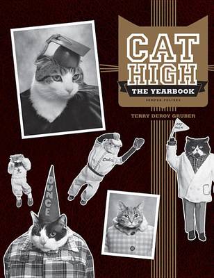 Book cover for Cat High