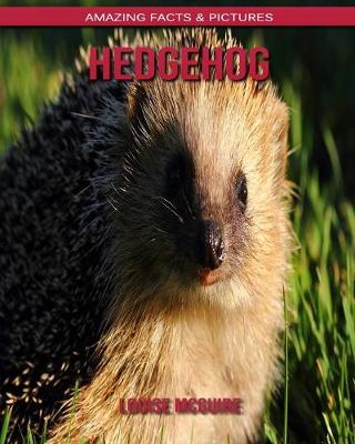 Book cover for Hedgehog