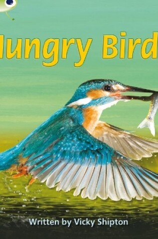 Cover of Bug Club Phonics - Phase 5 Unit 23: Hungry Birds