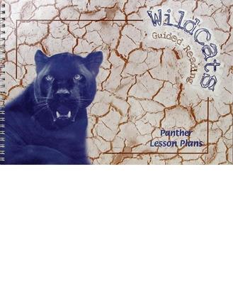 Book cover for Panthers Lesson Plans
