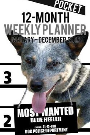 Cover of 2017 Pocket Weekly Planner - Most Wanted Blue Heeler