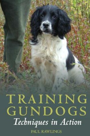 Cover of Training Gundogs