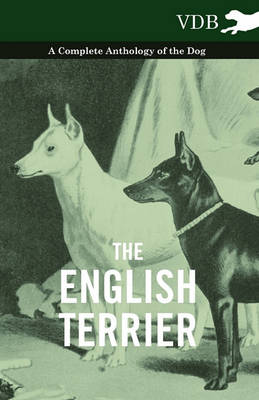 Book cover for The English Terrier - A Complete Anthology of the Dog