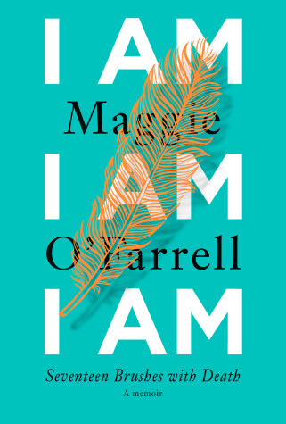 Book cover for I Am, I Am, I Am