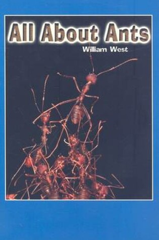 Cover of All about Ants