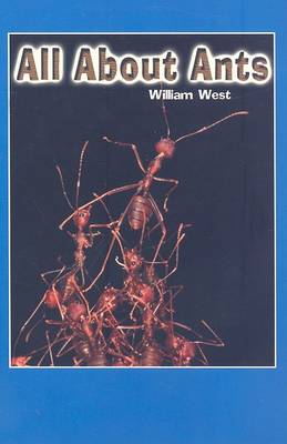 Cover of All about Ants