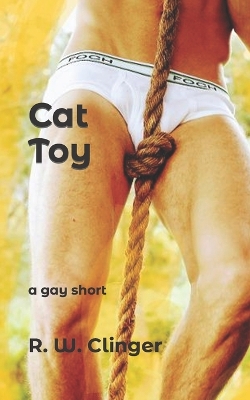 Book cover for Cat Toy