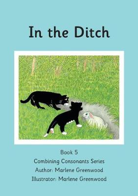 Book cover for In the Ditch