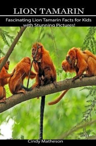 Cover of Lion Tamarin