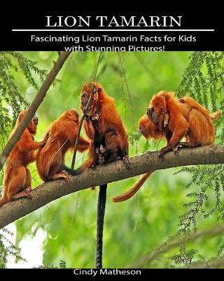 Book cover for Lion Tamarin