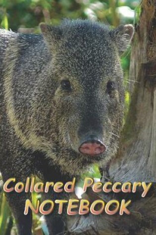 Cover of Collared Peccary NOTEBOOK