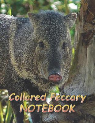 Book cover for Collared Peccary NOTEBOOK