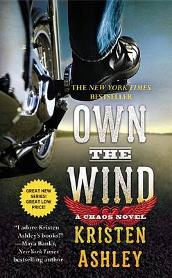 Book cover for Own the Wind
