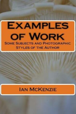 Cover of Examples of Work