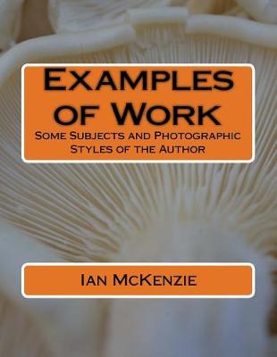 Book cover for Examples of Work